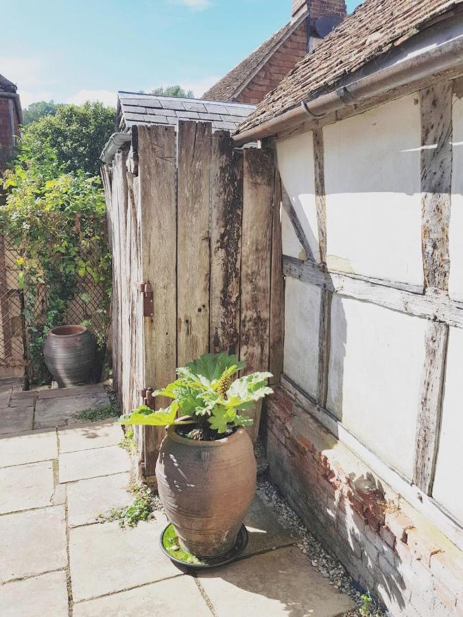 Roselina Otel Hastings Dış mekan fotoğraf