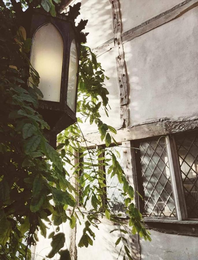Roselina Otel Hastings Dış mekan fotoğraf